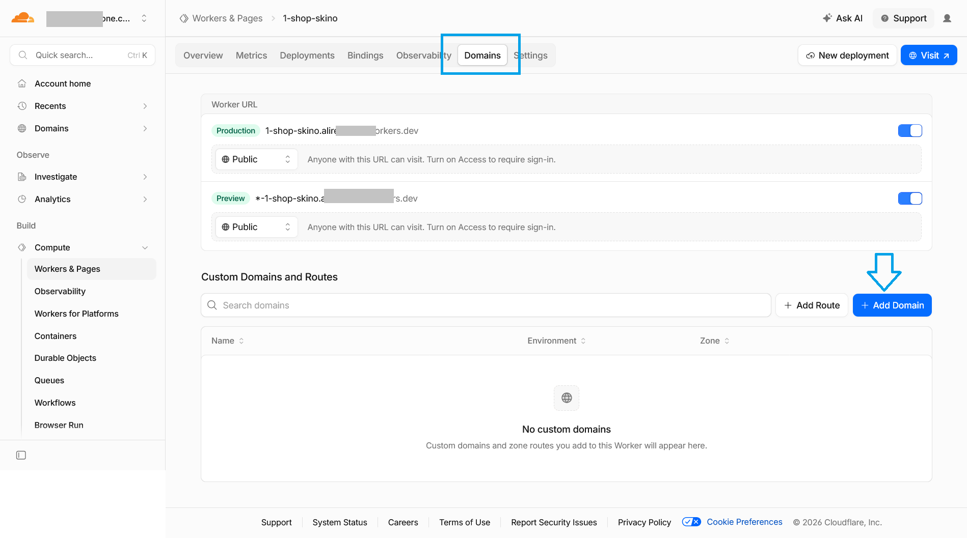 Cloudflare Domains tab with the Add Domain action under Custom Domains and Routes.