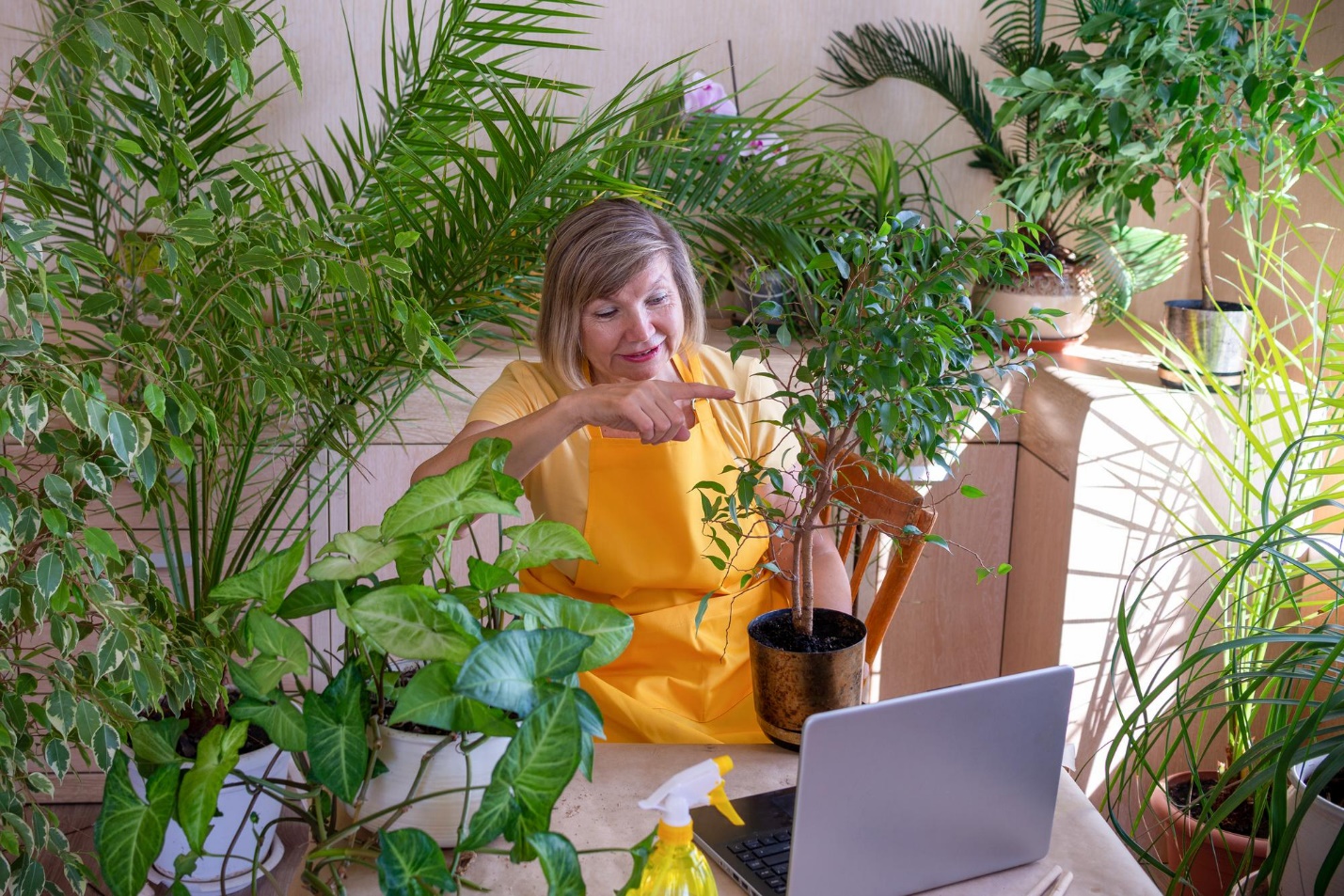 What are examples of successful marketplaces for indoor plants?