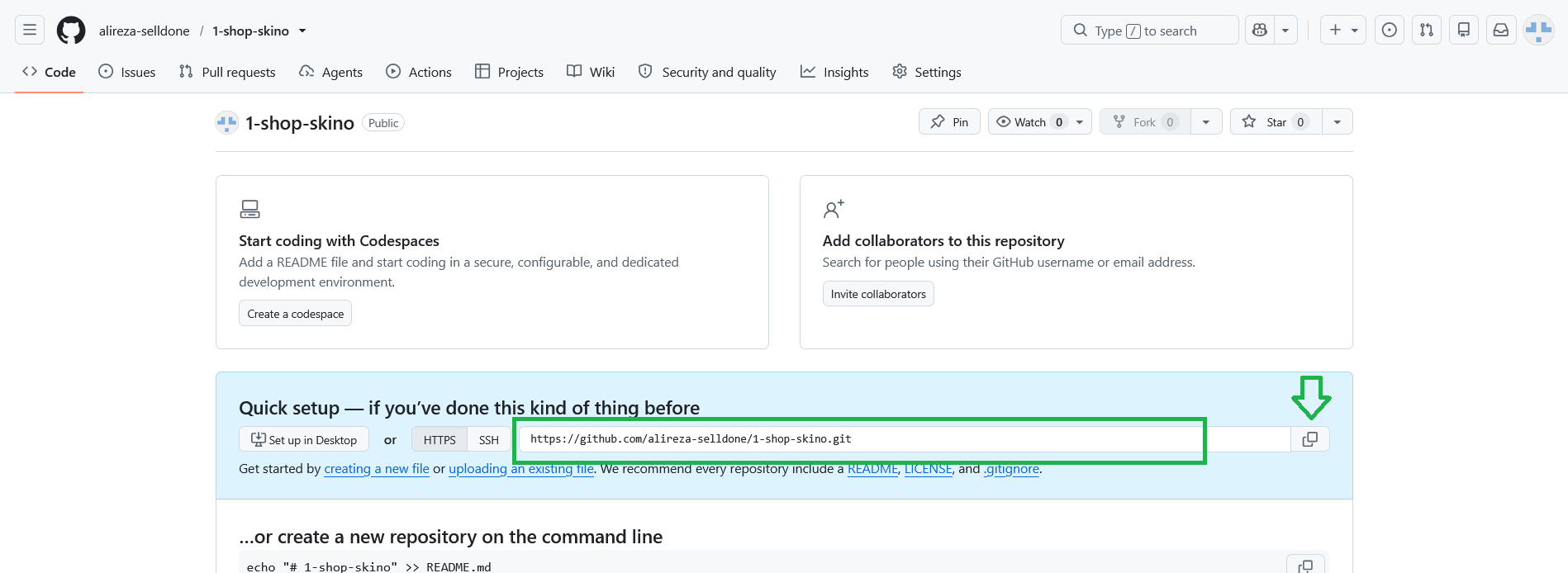 GitHub Quick setup screen with the HTTPS repository URL.