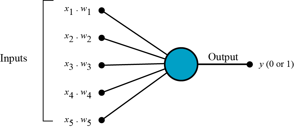 The basic structure of a perceptron consists of a single layer of…