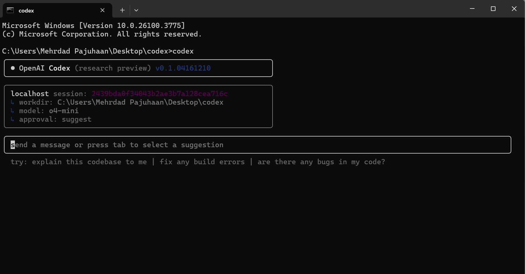 Chat With Codex to Create a Website