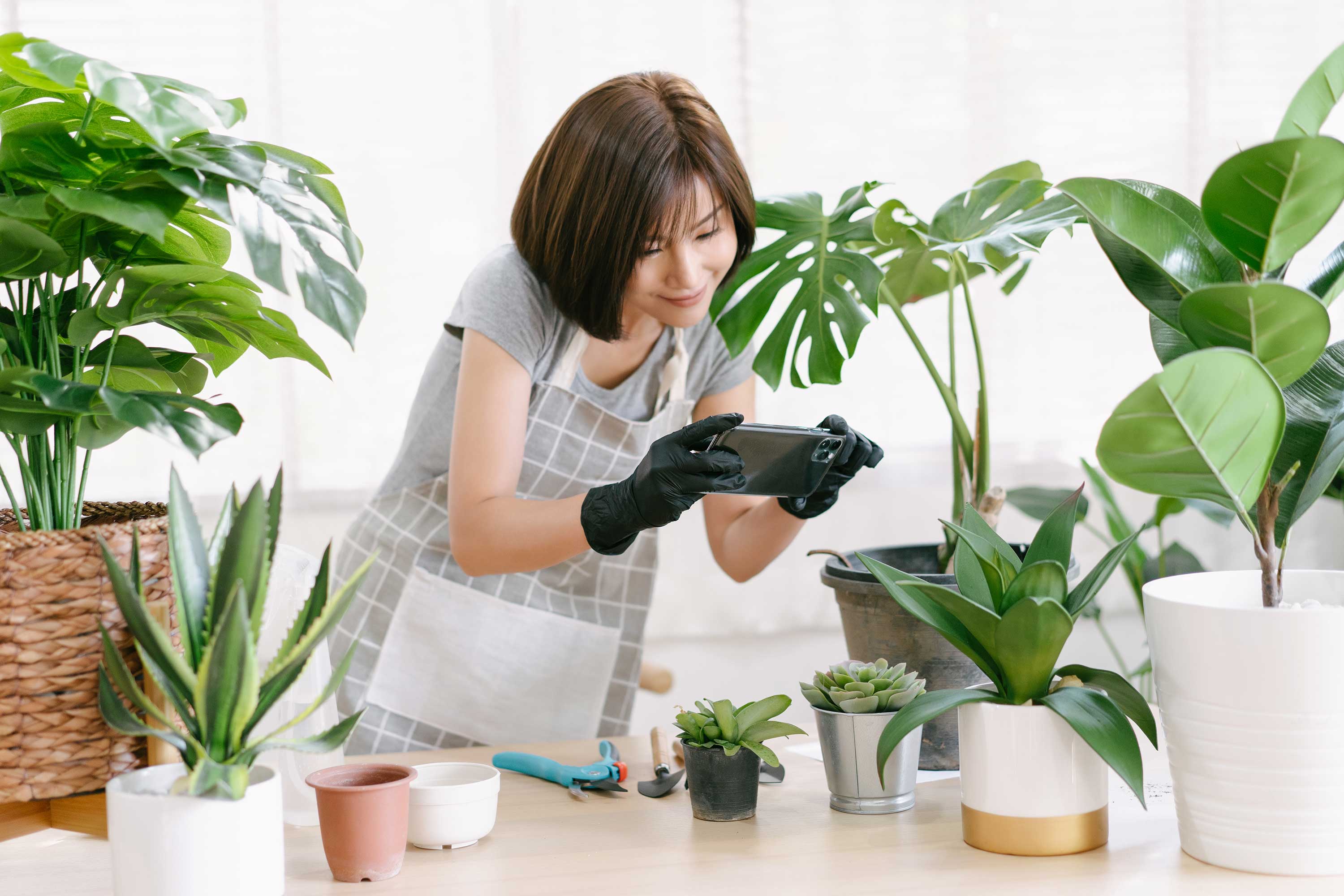 For most people, keeping some plants in their home, in the drawer…