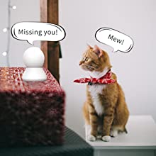 Dual-channel audioA smooth and stable communication environment is provided by the built-in anti-noise microphone and speaker. The blurams App makes it simple to listen to and respond to your cat. This pet monitor allows you to see what your pet is doing in real time or playback movies.