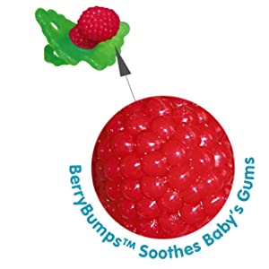The Berry Best