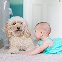 Motion Detection&TracingIntelligent AI algorithms and horizontal and vertical rotation track the motion of moving things. Detects human, dog, and other sounds and alerts you in seconds. On-demand, receive the instant alert about which you were concerned. The detection sensitivity can be changed.