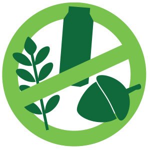 Gluten, nut, and dairy allergy friendly