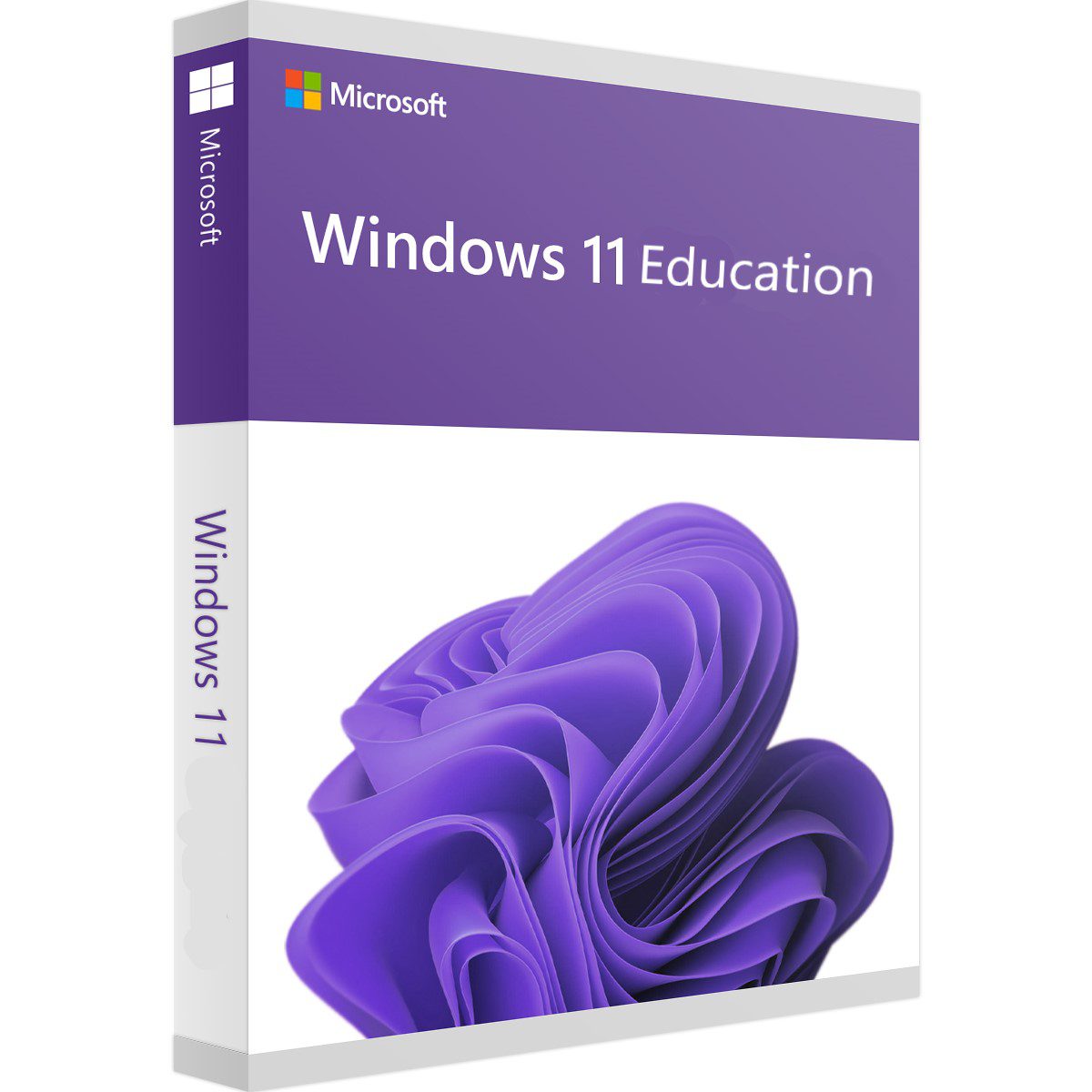 WS1245578