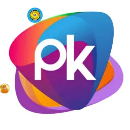 PK DiGiTaL