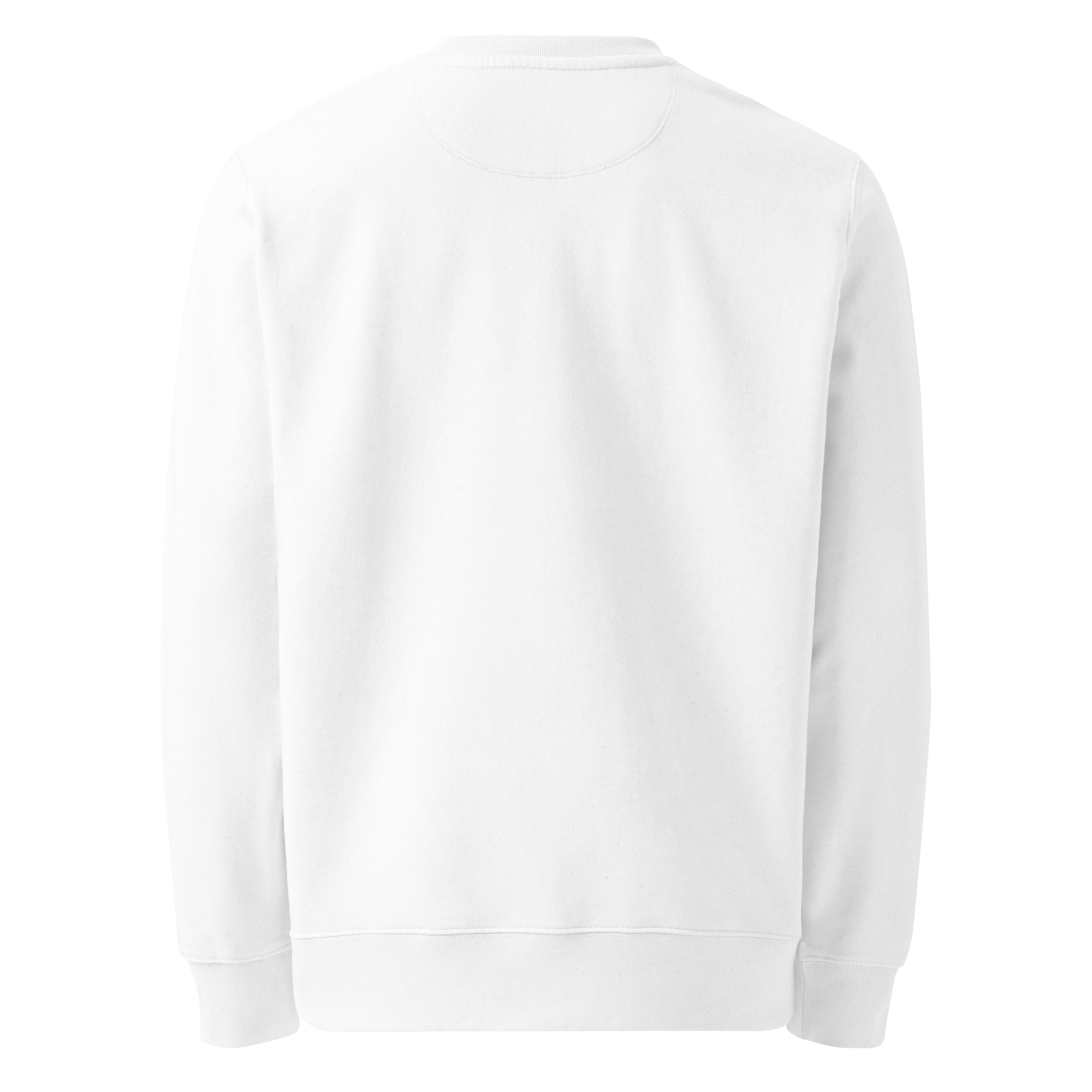 Pastel Fairy Women's Eco Sweatshirt – Magical Fairy Graphic Crewneck, Cottagecore Fantasy Sweatshirt, Organic Cotton Pullover