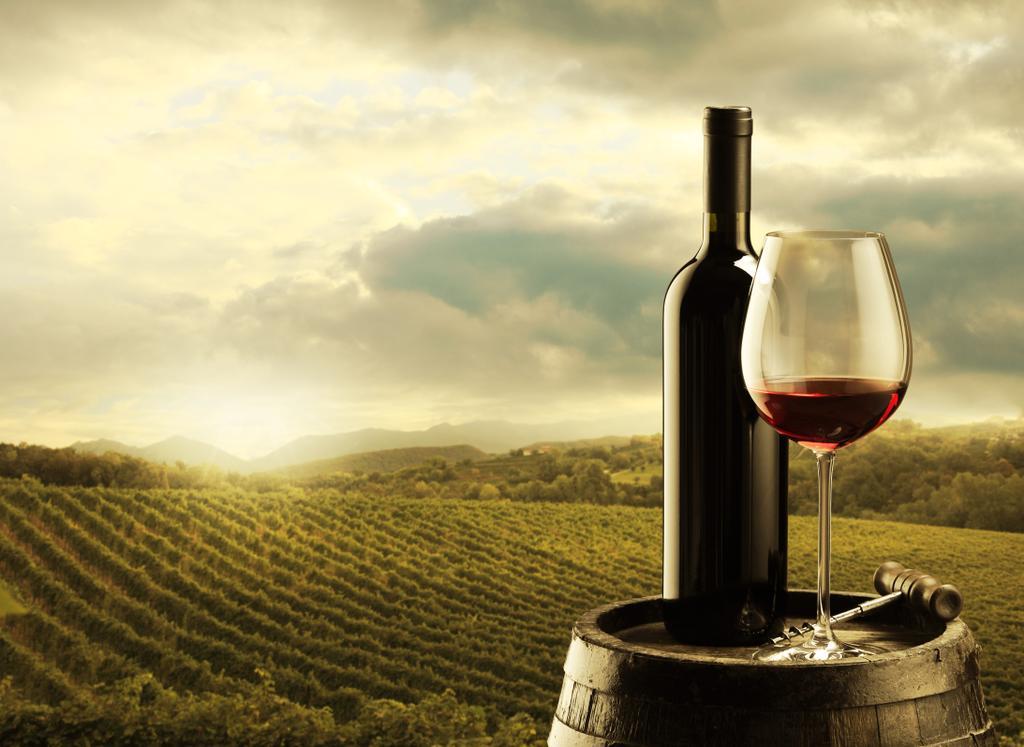 Os vinhos portugueses refletem a diversidade das suas regiões.