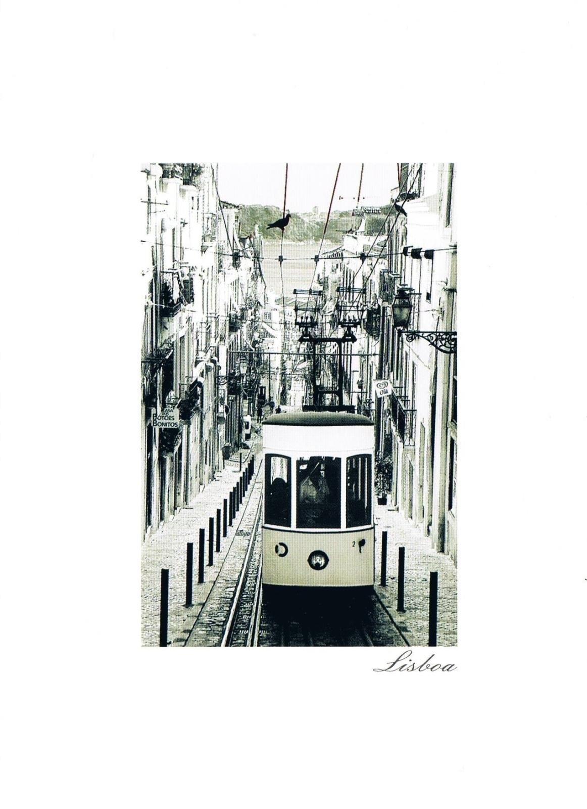 Bica Funicular Lisbon Monochrome Premium Postcard