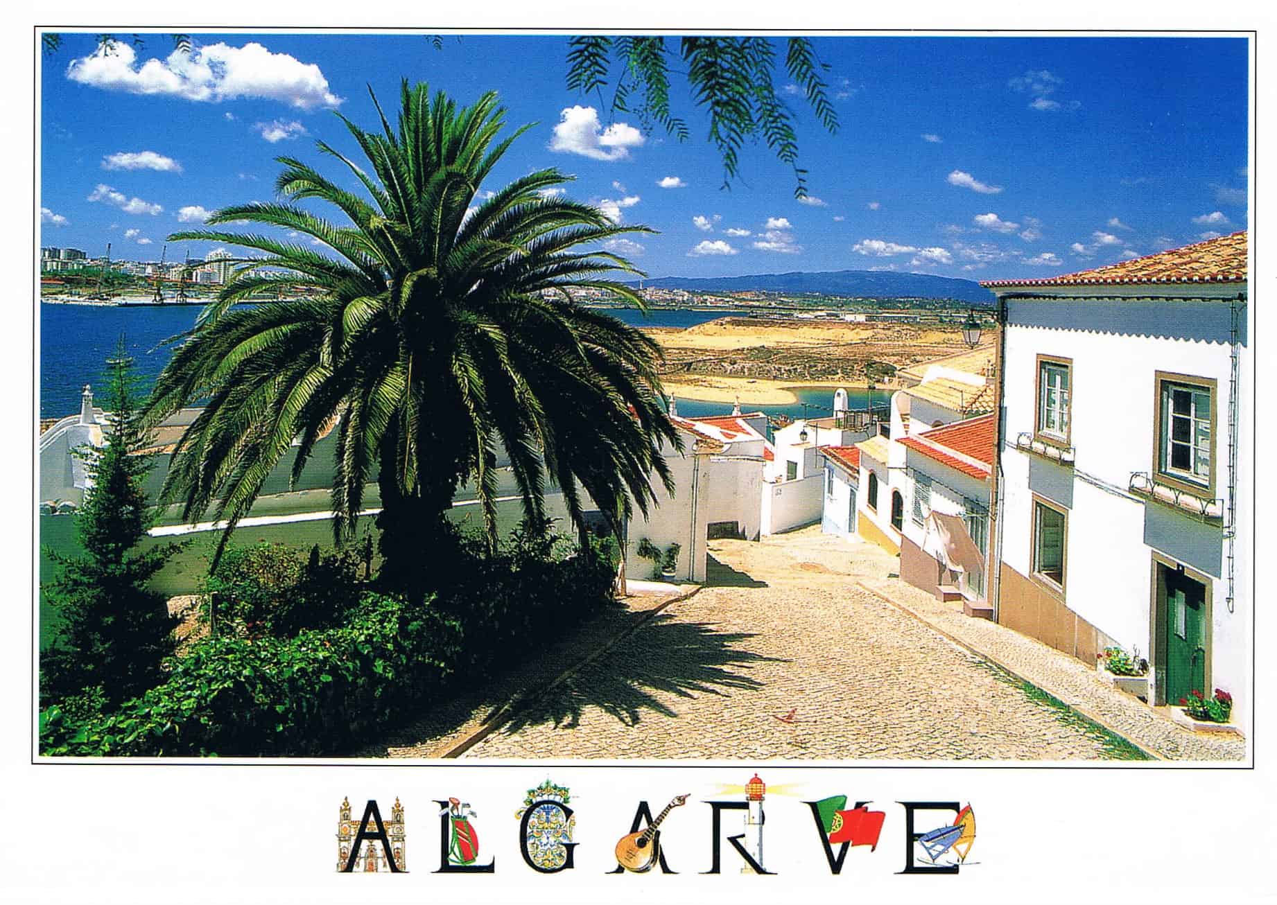 Ferragudo Palm-Lined Street and Estuary Premium Postcard
