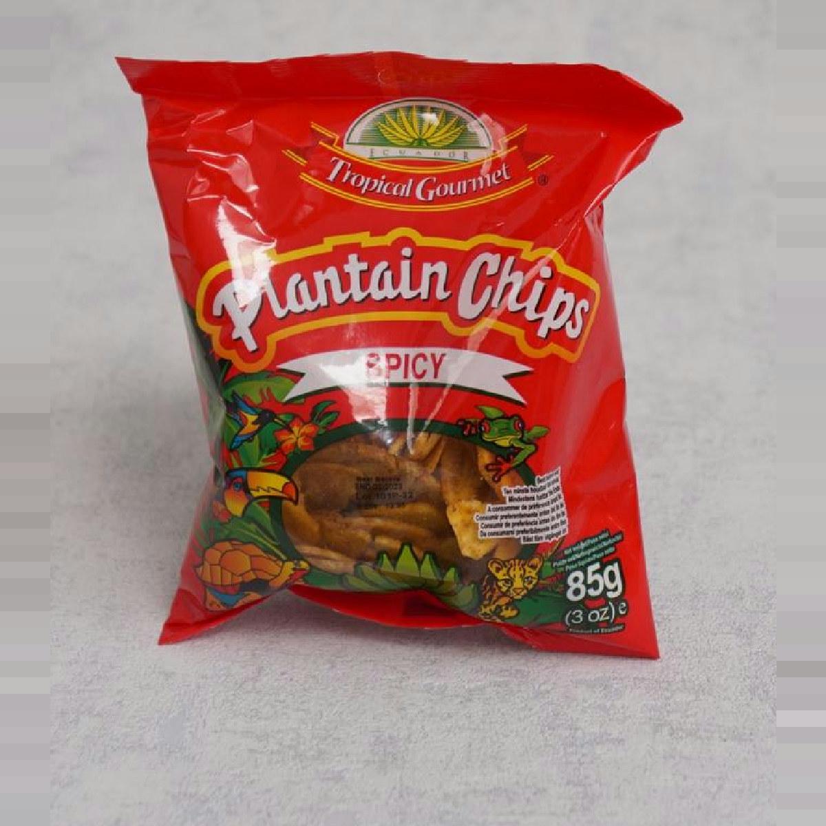 Tropical Gourmet Plantain Chips Spicy 85g