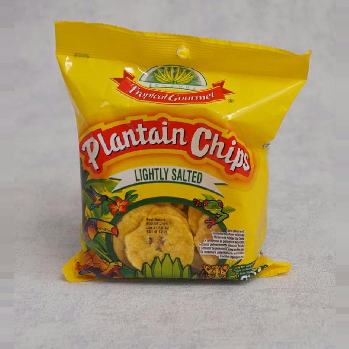 Tropical Gourmet Plantain Chips Lightly Salted 85g