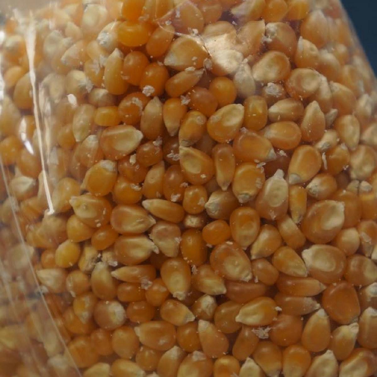 Dried Whole Popcorn Kernels