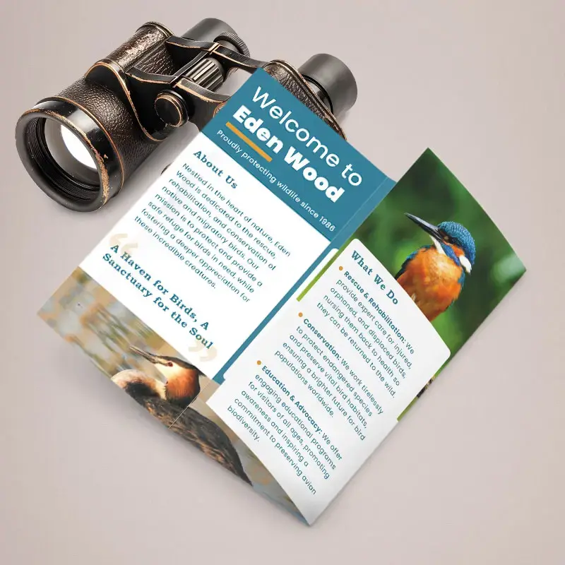 Tall folded leaflet (140 x 297mm) printing, 6 page — roll fold or Z fold, from £55