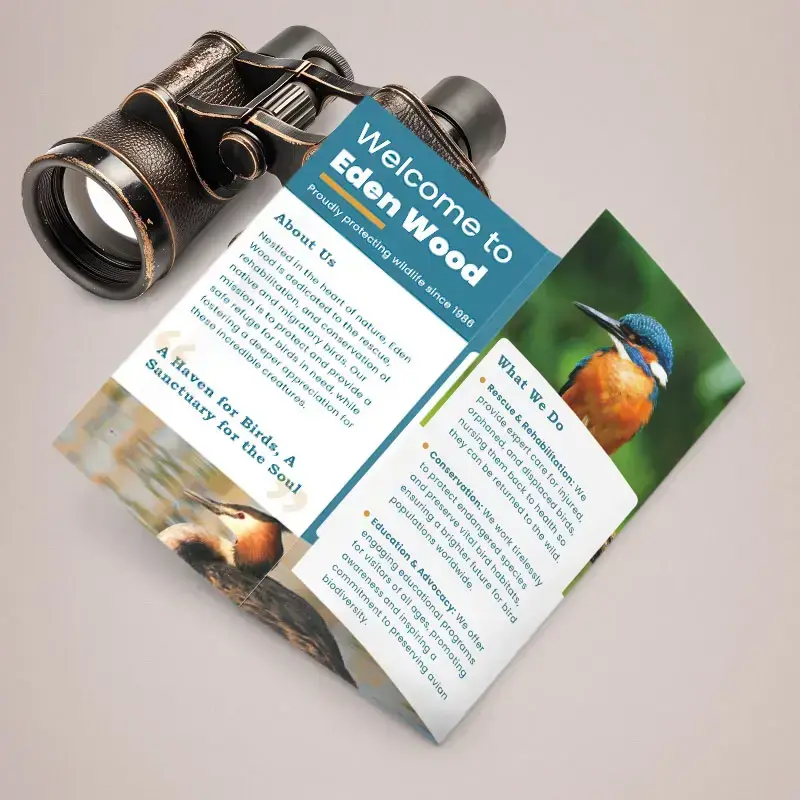Tall Folded Leaflets (140 x 297mm) – 6 Page