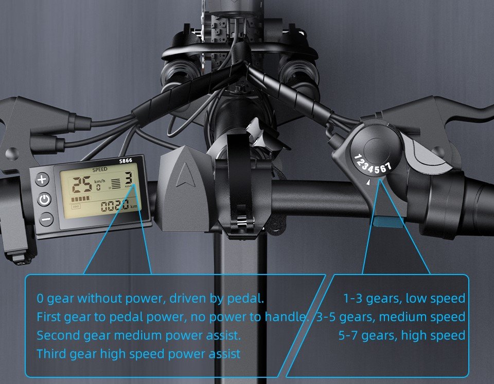 Dual Disc Brakes