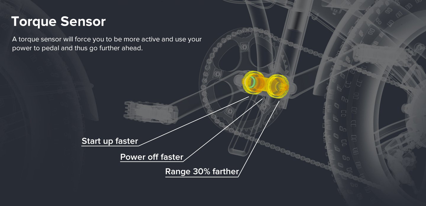 Hydraulic Disc Brakes