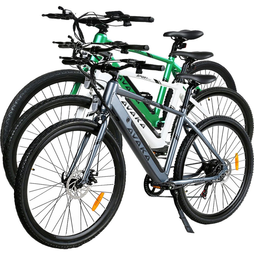 Powerful 350W Rear Motor