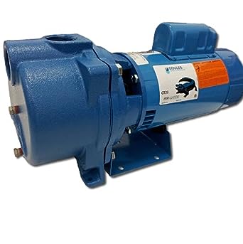 What are the benefits of the GT20 IRRI Gator pump?
