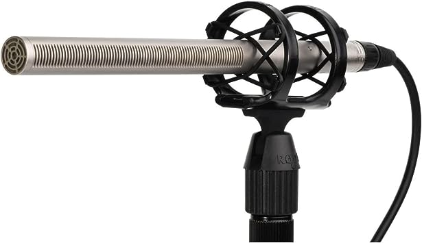 Get Professional-Quality Audio with the Rode NTG2 Multi-Powered Condenser Shotgun Microphone