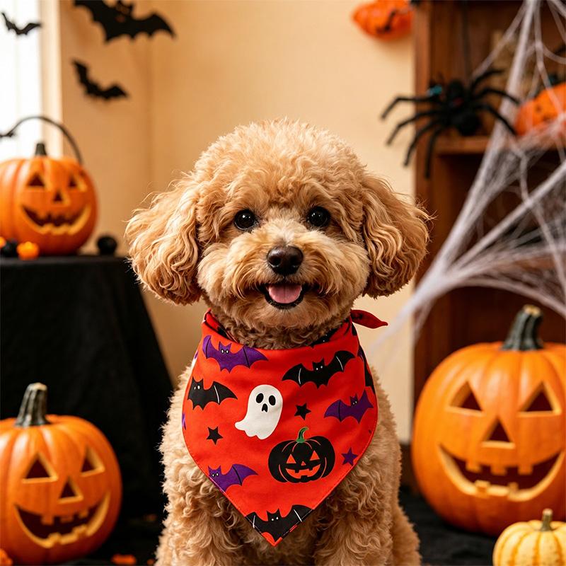 Halloween Dog Bandana | Pumpkin Ghost & Bat Print