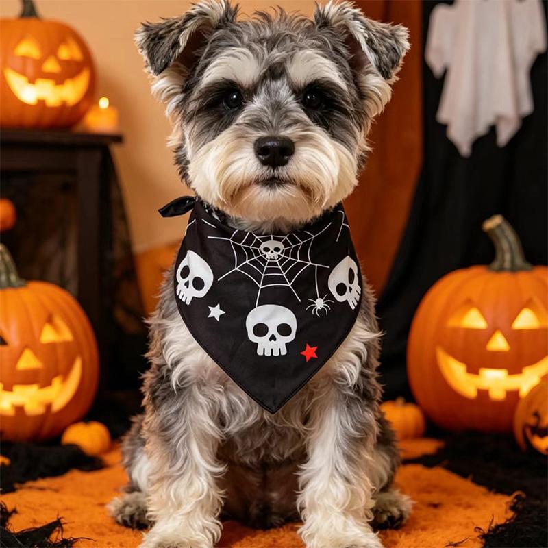Halloween Dog Bandana | Skull & Spider Web Pet Scarf