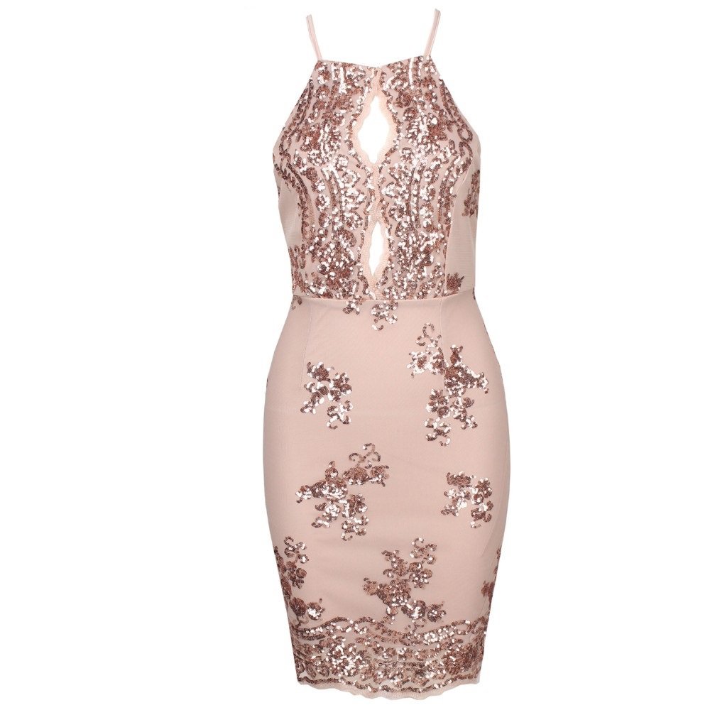 Sequined Elegant Bodycon Nippon Flower Halter Neck Backless Dress