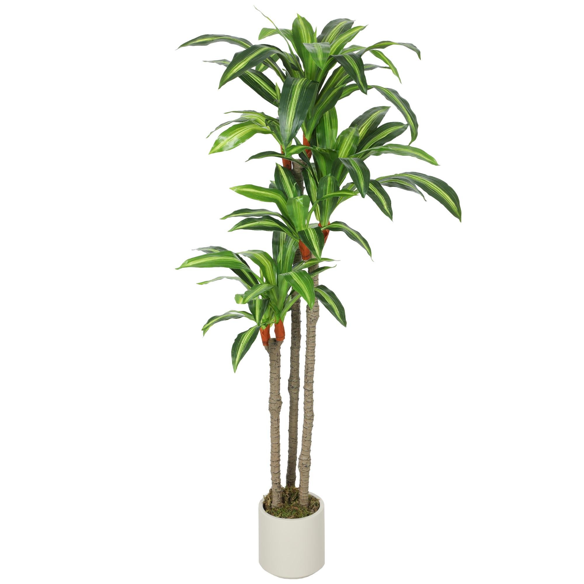 5ft Green Dracaena Artificial Tree with Bendable Trunks
