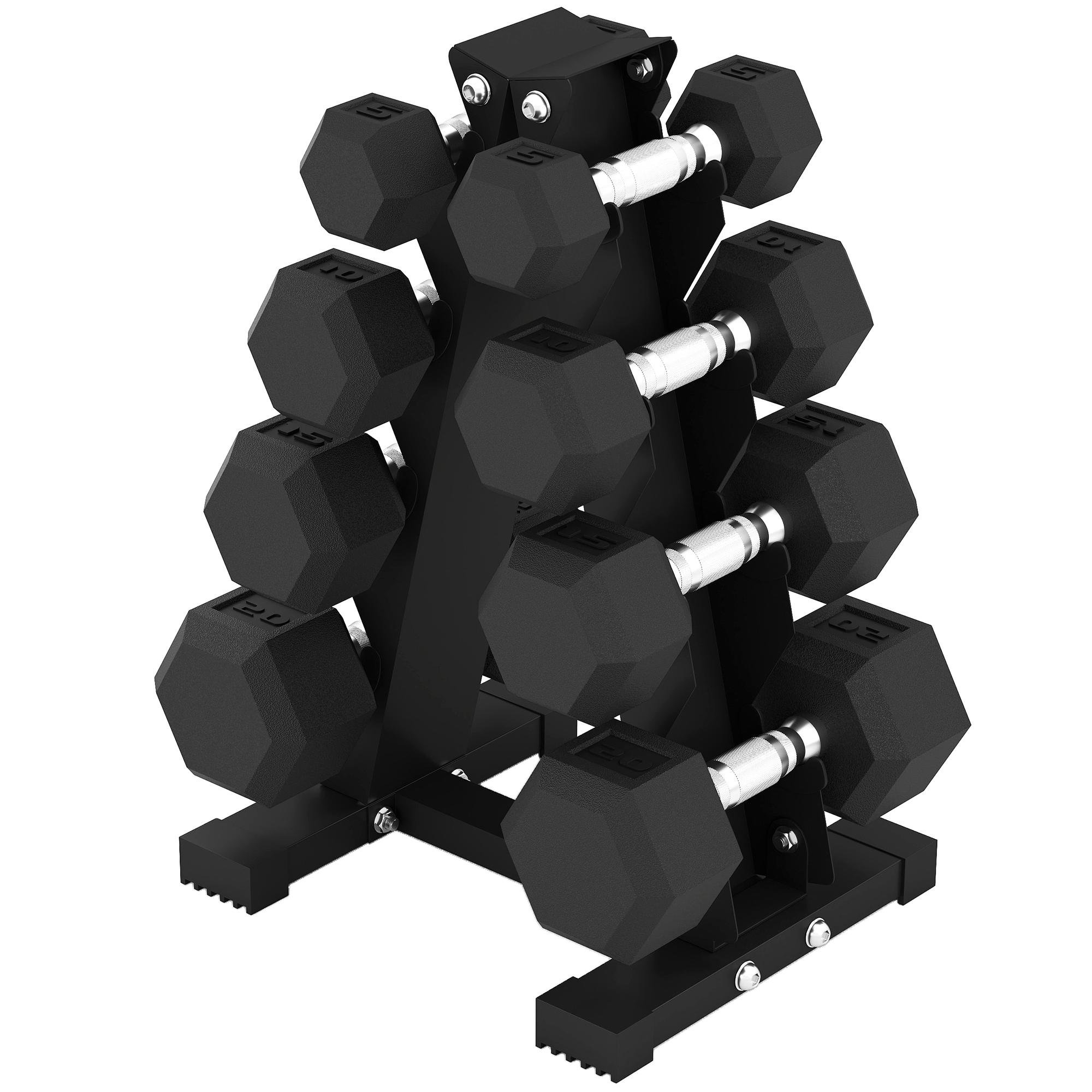 100 lbs Hex Dumbbell Set with Rack, 5-20 lb Pairs