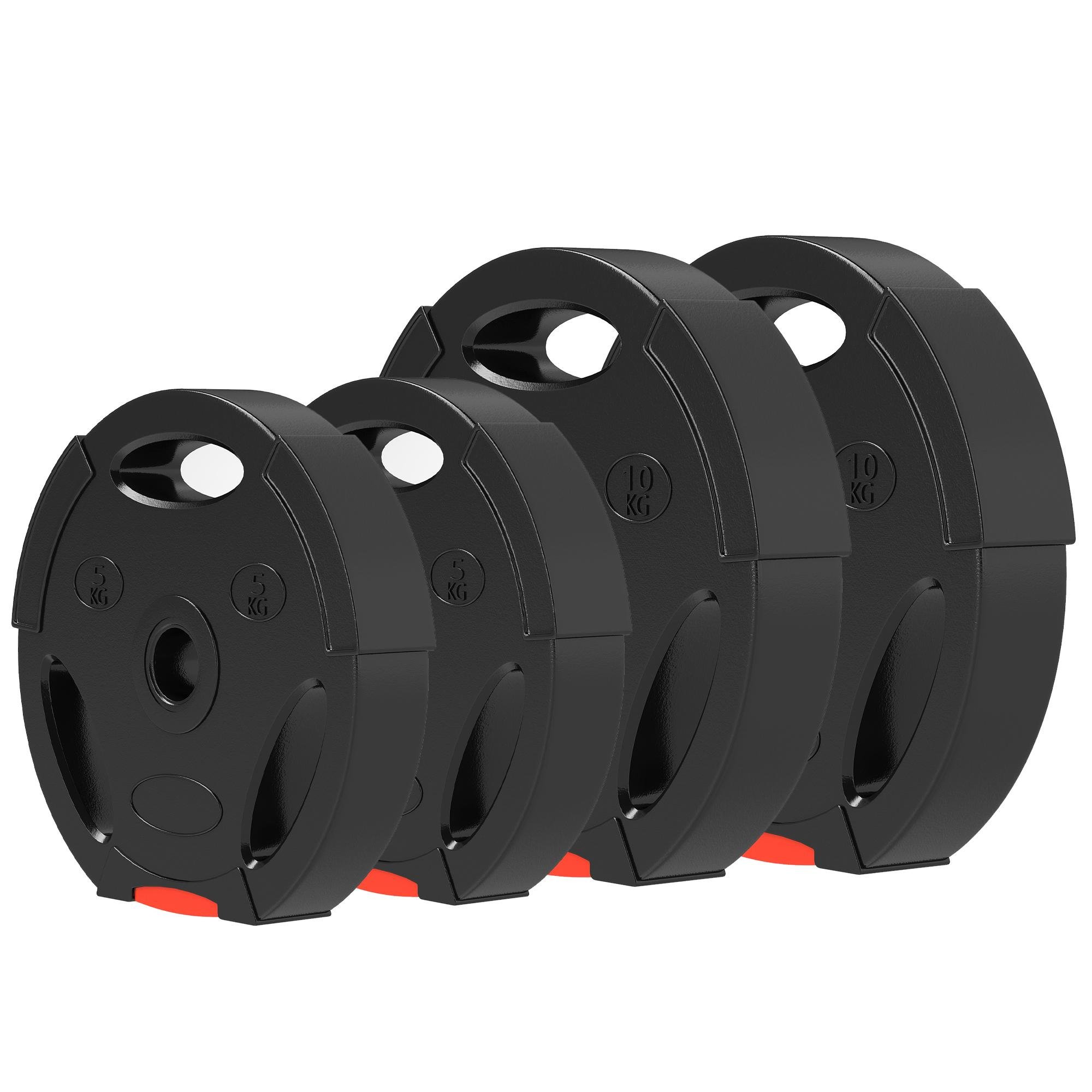 Black 1-Inch Weight Plates Set, 2 x 22 lbs + 2 x 11 lbs