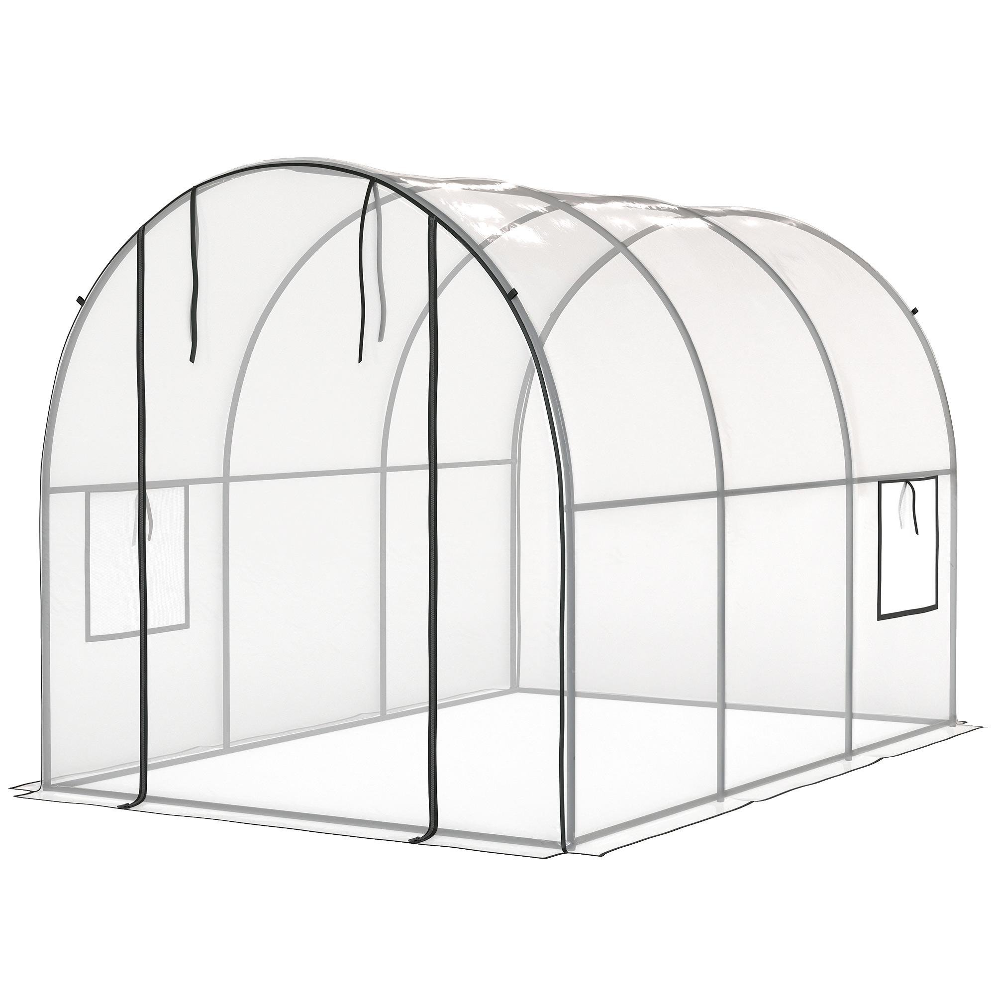Clear Tunnel Greenhouse with Roll-Up Door