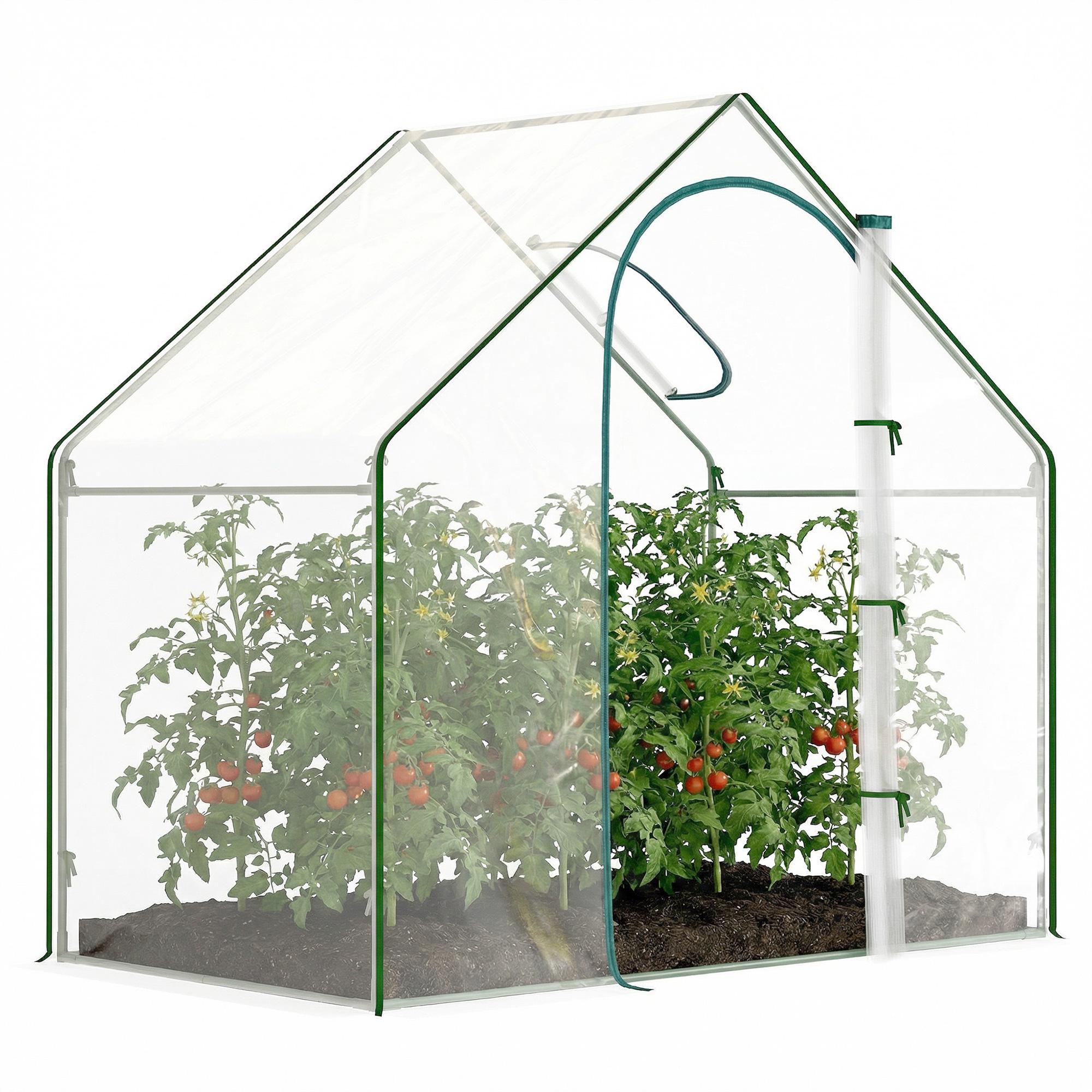 Clear Steel Walk-In Greenhouse with Roof Vent