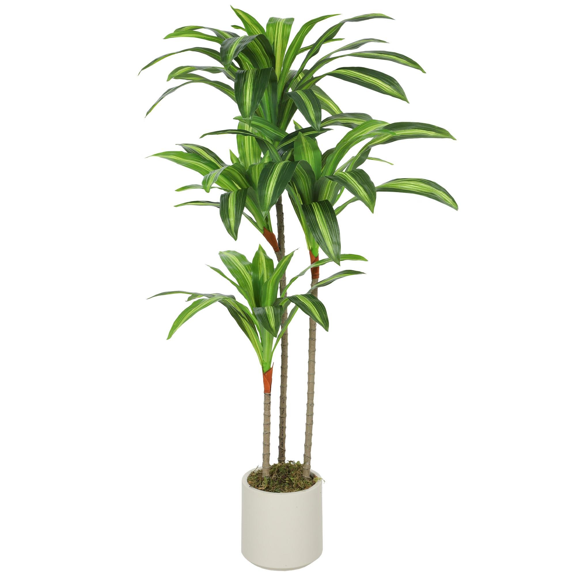 4ft Green Dracaena Tree with Bendable Trunks