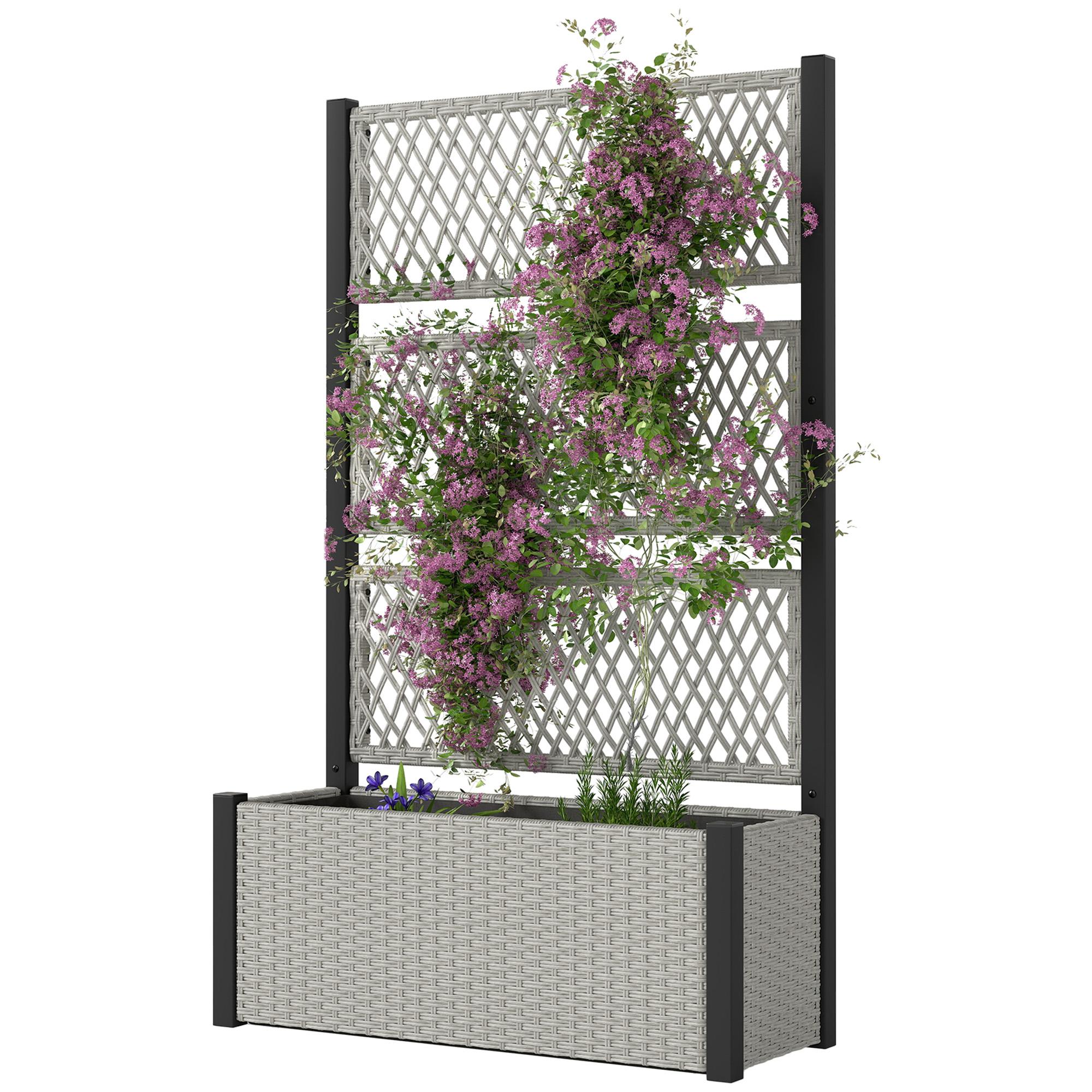 Mixed Grey Wicker Trellis Planter with Raised Garden Box