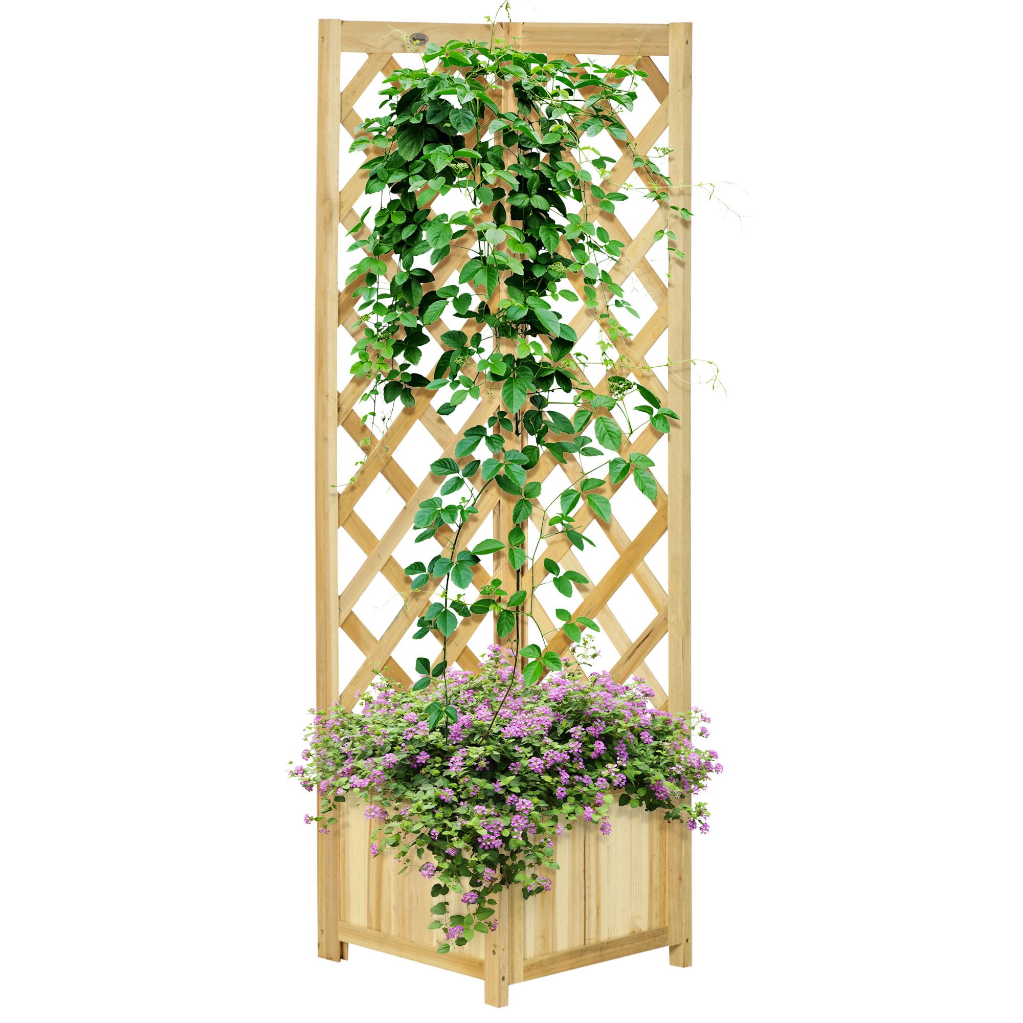 Natural Fir Climbing Planter with Twin Trellis