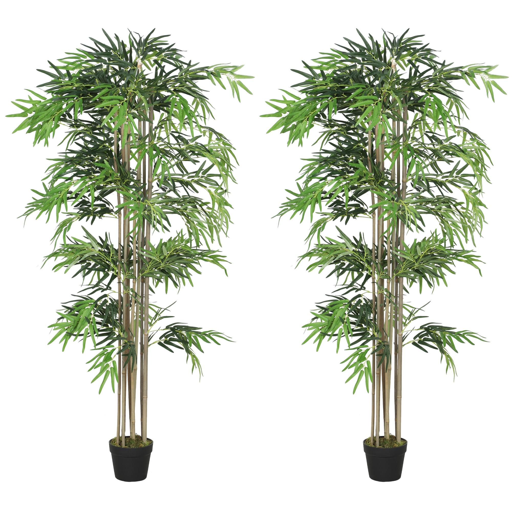 6ft Green Bamboo Duo with 1,530 Leaves for Indoor Décor