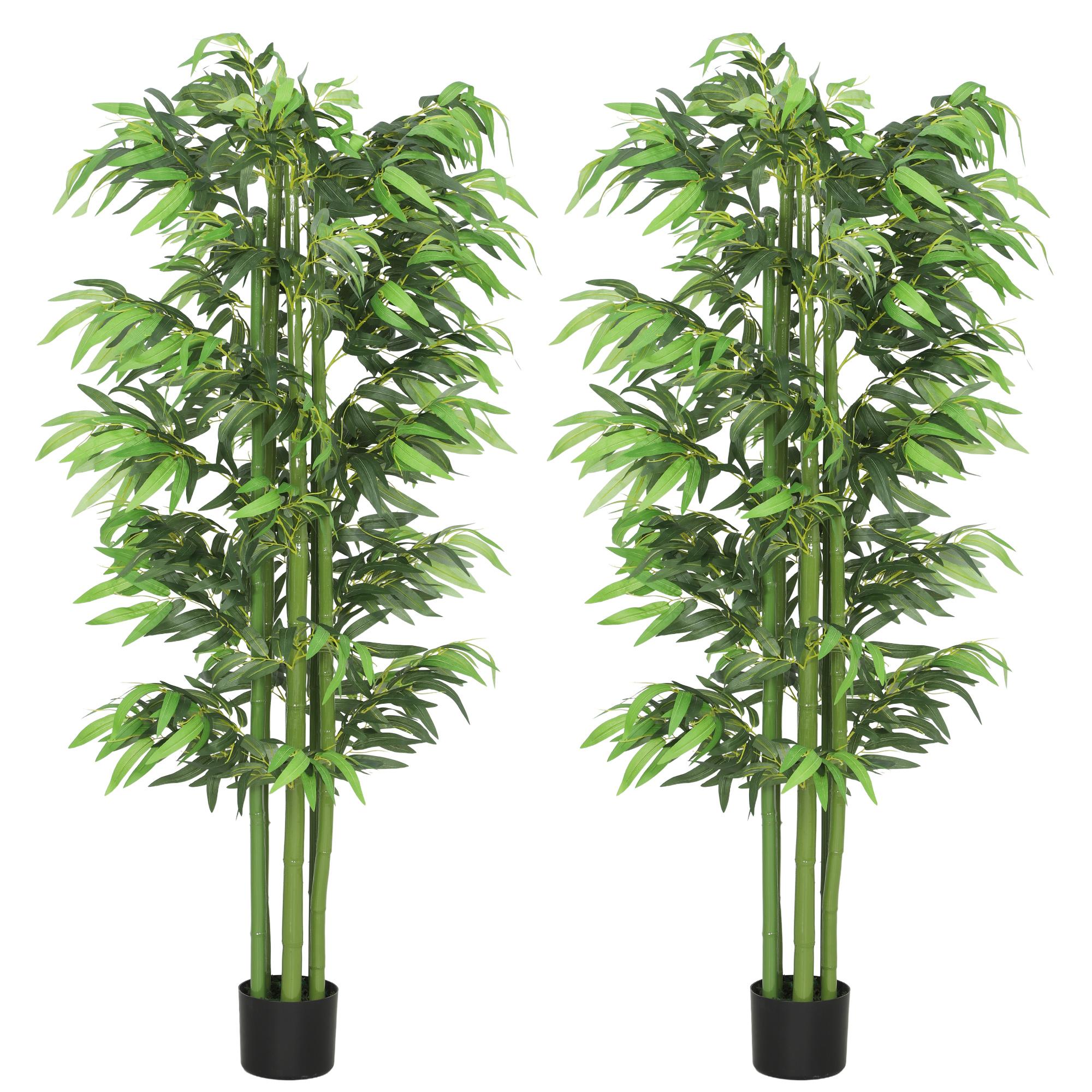 6ft Green Bamboo Pair with Stable Pots for Indoor Decor