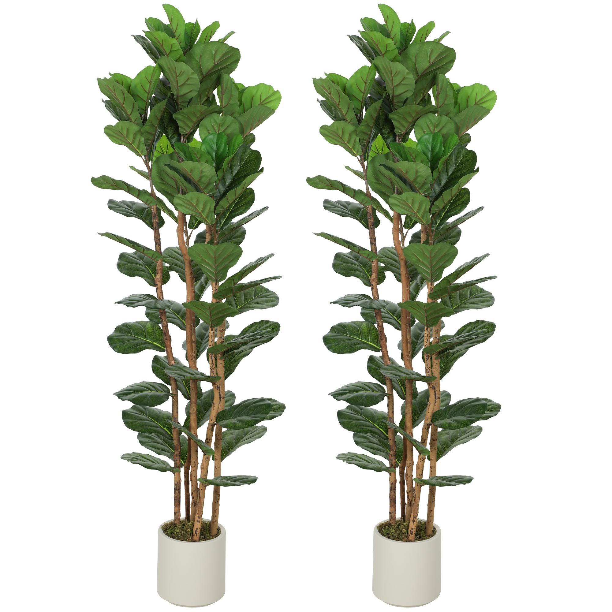 6ft green PEVA fiddle leaf with Wood Trunks, Set of 2