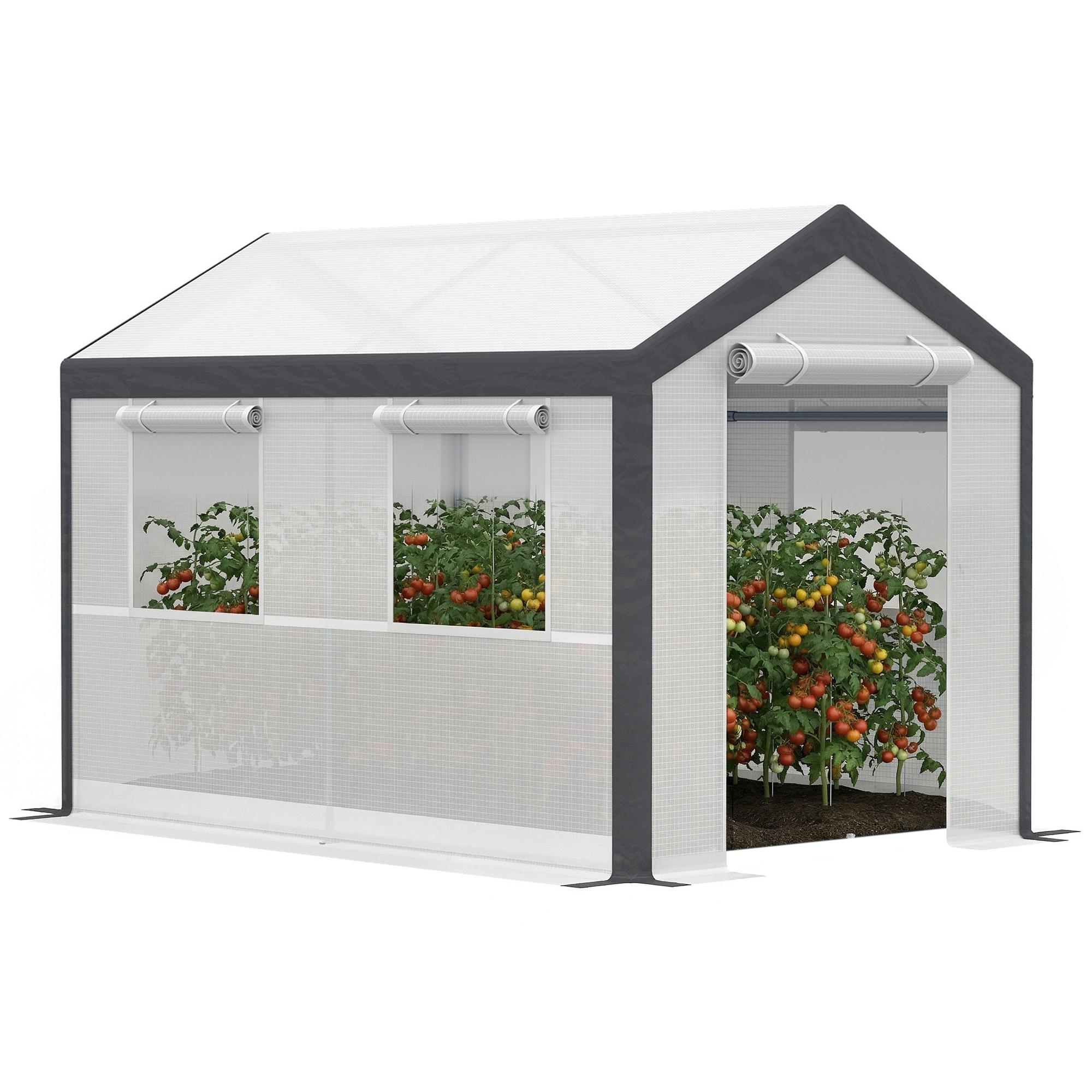 White PE Greenhouse 6.6x10 with Roll-Up Door