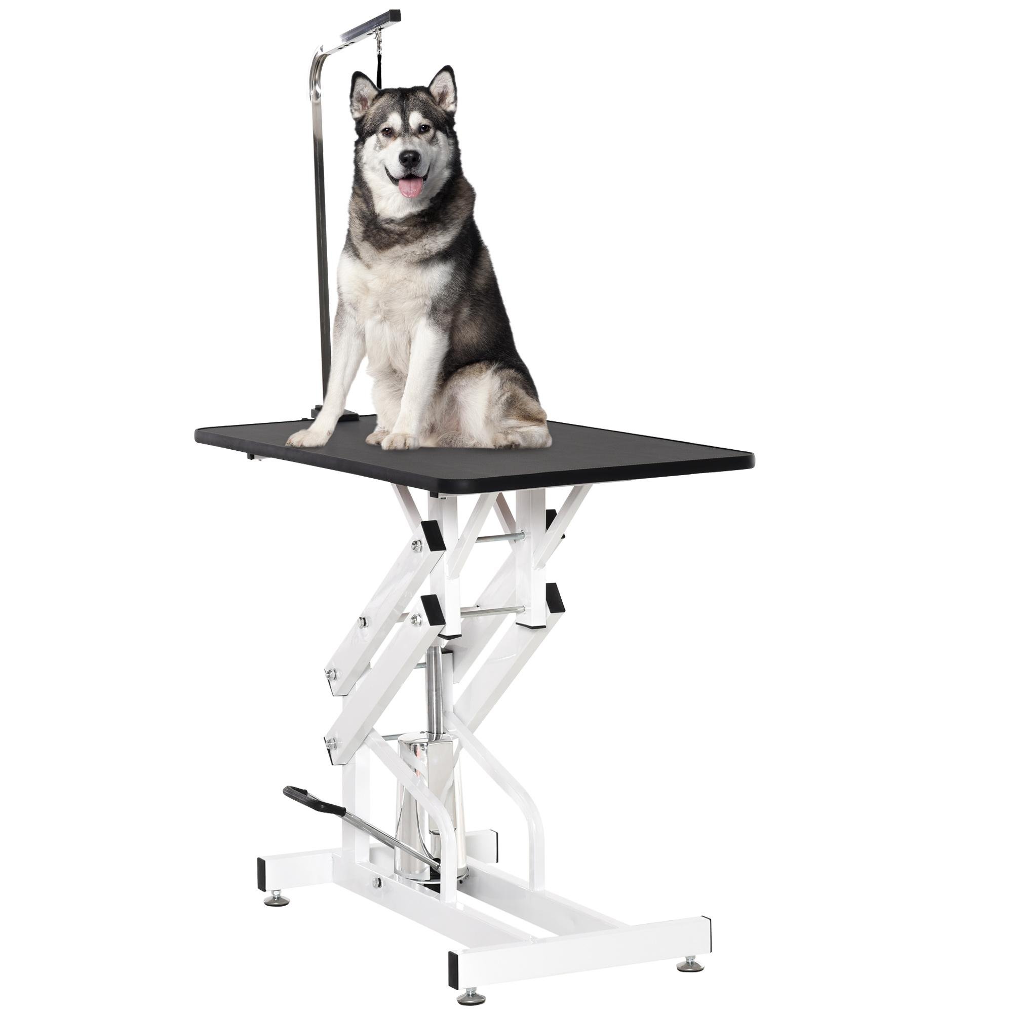 White Steel Dog Grooming Table with Adjustable Arm